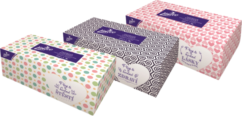 Linteo Papírové kapesníky 2-vrstvé Box 200 ks