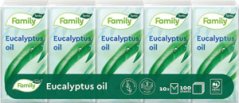 Tento hygienické vreckovky FAmily Eucalyptus 3-vrstvový, 10x10