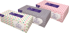 Linteo Papírové kapesníky 2-vrstvé Box 200 ks